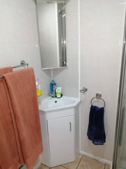 2 Bed Villa With Full Use Of Site Facilities New Quay Extérieur photo